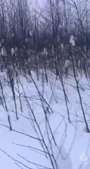 � �������-����� ������ ������������ � ���� �����