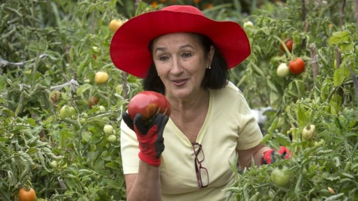 �������� ������ �������� �������: ��� ����� ����� ������� �� ���� ������