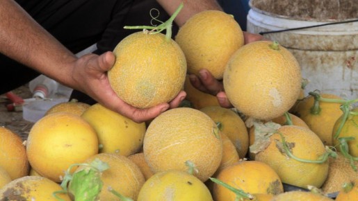 ������������, ����� �� ����������: ��� ������� ����� ������� ����������� ����