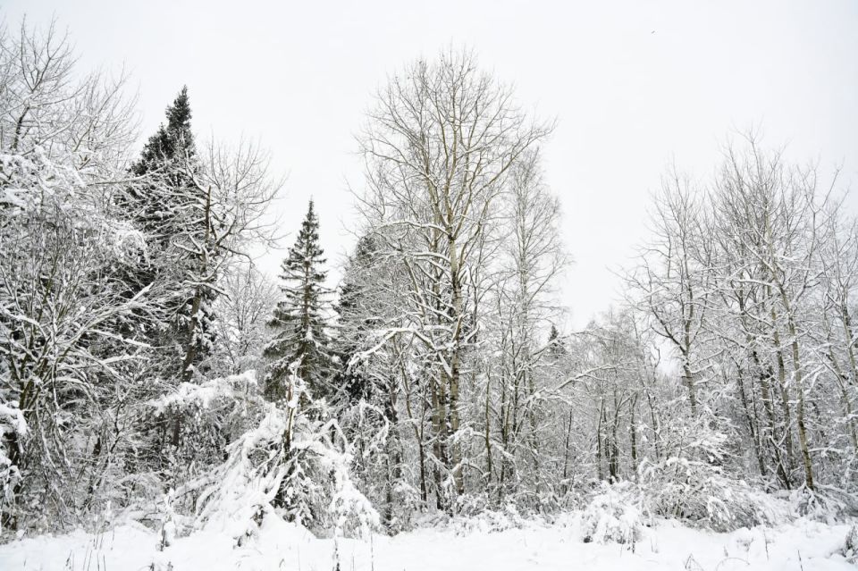 Пусть день будет наполнен приятными событиями