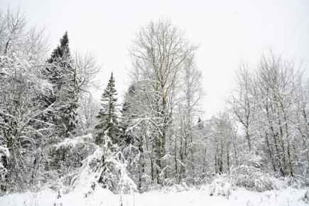 ����� ���� ����� �������� ��������� ���������