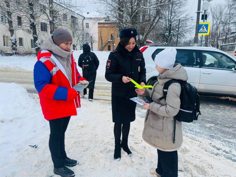 С 12 января по 18 января текущего года на территории г.о. Воскресенск проходит областное мероприятие «Пешеходный переход»