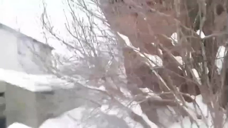 Печальная новость из Родников: гибель двоих и травма третьего на пожаре