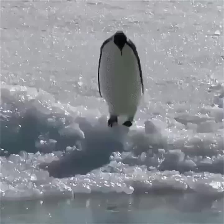 Иллюзия прочности: морозы не гарантируют надёжность льда