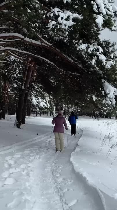 Активная зима в Домодедово продолжается!