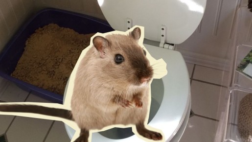 ����� ������ 99% �����: ��� ����� ������, ���� �� ������� ��������� �����