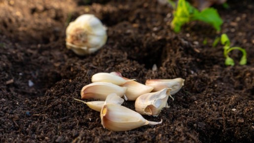 �� ��������� ������ ������ ������ � ���� �����: ������ ����� �� ���������