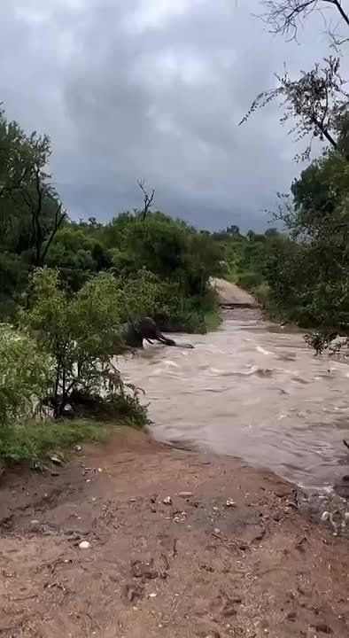 ������� ��������� � ���� � ������ �������� �� ����� ���������� � ���