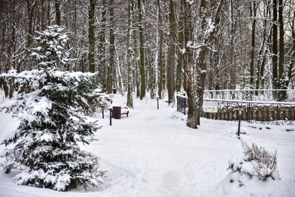 ���������� ����� ������ ����� ����� ������