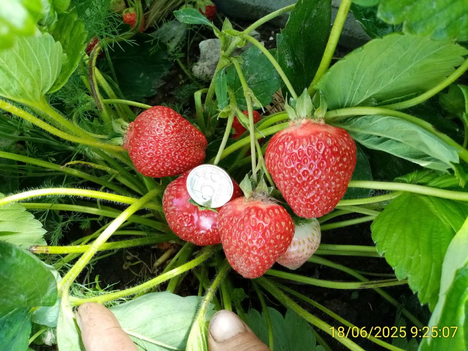 ������� ����: ��� ������������� ���� �� ���������� ������ ��� ������ ��������