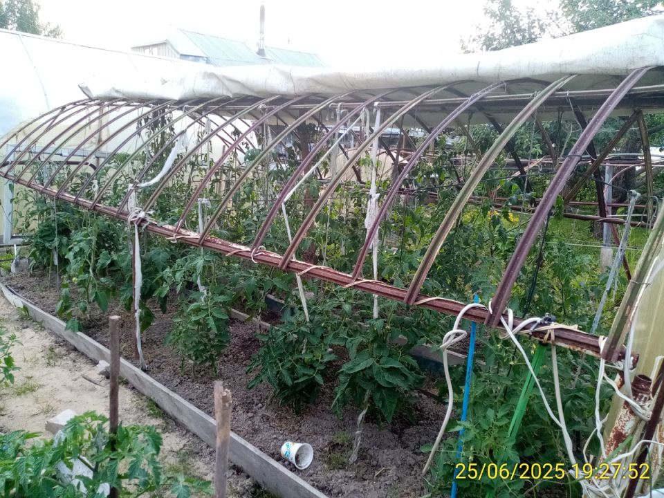 ��� ������� ��������� ����� ��� �������: ������� �������� ������