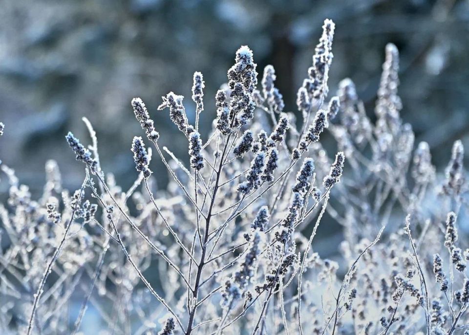 ������ ����, �����������!. �������, 20 ������, �������