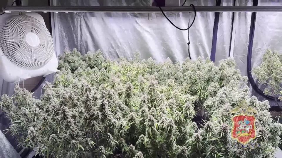 � ��������� �.�. ����������� ��������� ����� ������, ������������� � ��������� �� ���� ������ ���������