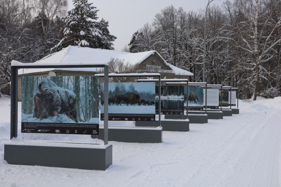 � ��������-��������� ����������� ��������� ������������ �������� �����