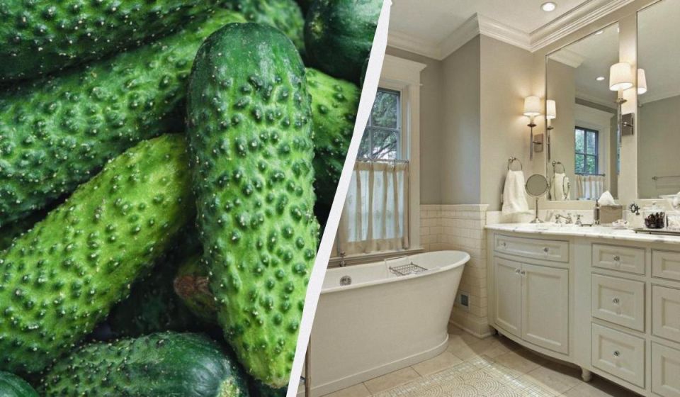 �������� ����������� ������: ������� �������