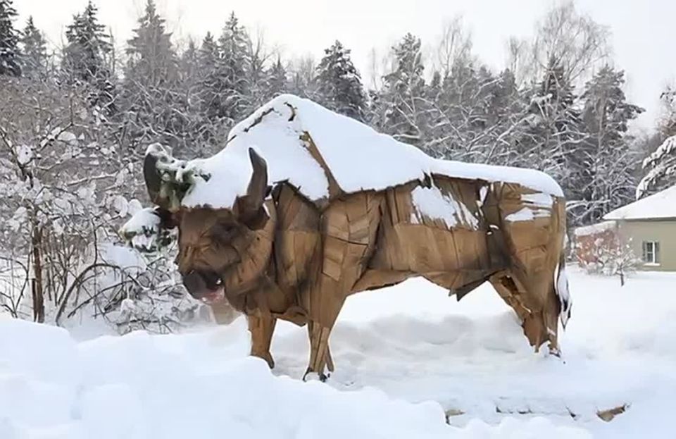 ������ ����, ��������!. ������� ����� - �������� ������� ������ � ����� �������� ������ �����, ��������������� ����� � ��������� ��� ��� ����� ����������