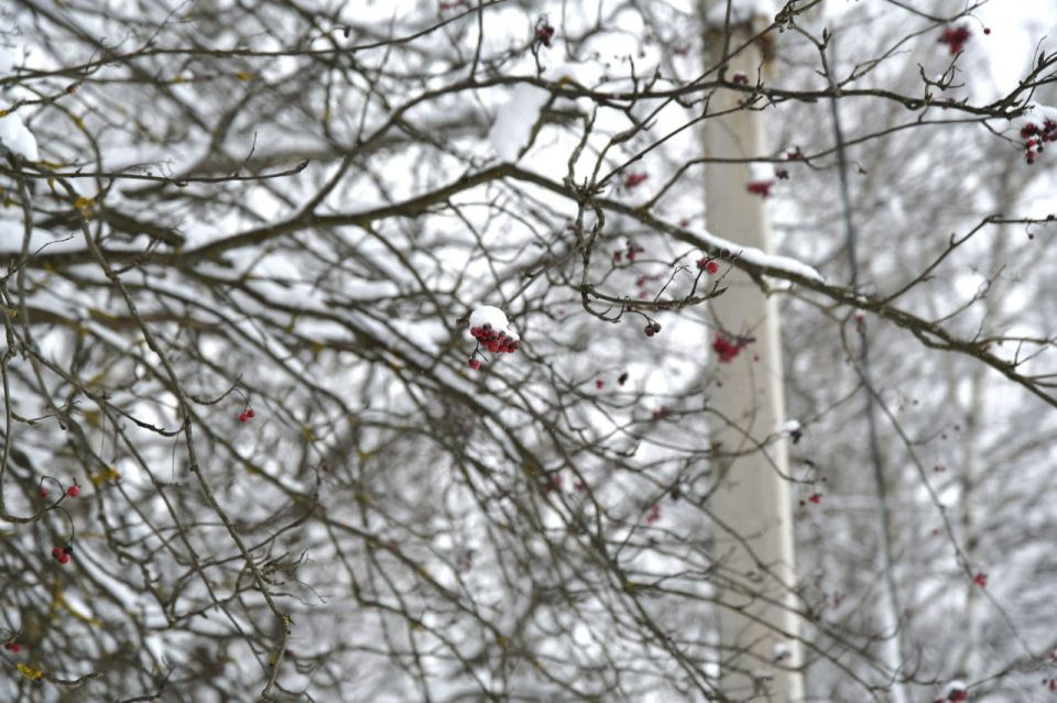 ���� ������� �������� ��������