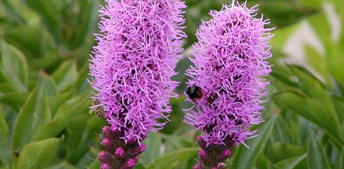 �������: ��������� ������ ��� ������� ���������