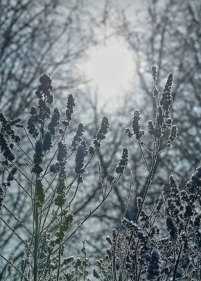 ������ ����, �����������!. �������, 21 ������, �����