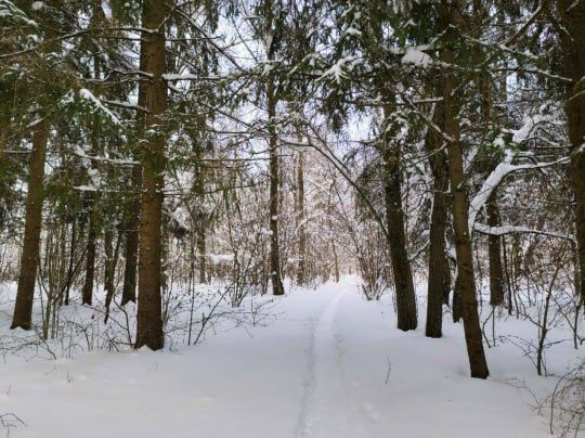 ������ ��������. ���������� ���� ��� �����-3, ������������� ����� �����