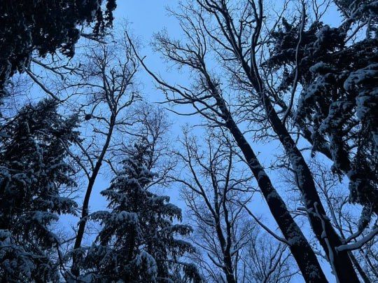 ������ ��������. ���������� ���� ��� �����-3, ������������� ����� �����