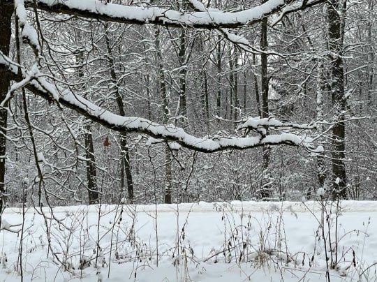 ������ ��������. ���������� ���� ��� �����-3, ������������� ����� �����