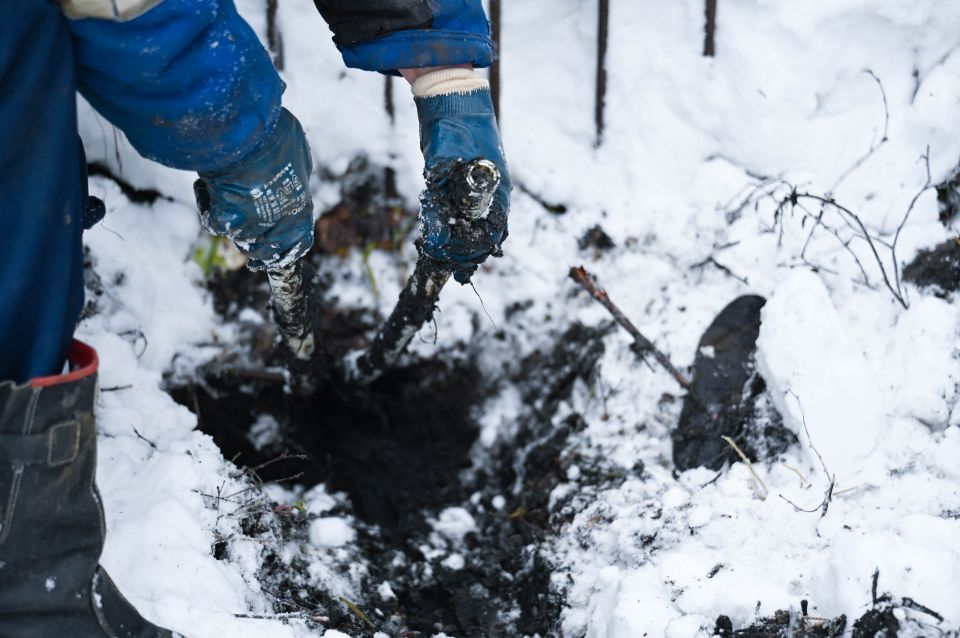 ���������� ������������� ���������� ���������� ������ ��������� � ��� ����������� ��� �ջ 20 ������ ������� ������ �� ���������� �������������������� ����������� �� ���������� ���� ��������-2