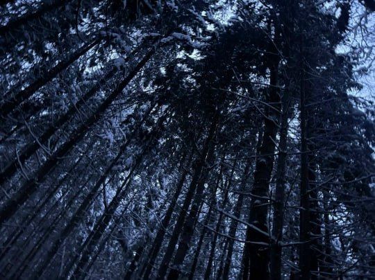 ������ ��������. ���������� ���� ��� �����-3, ������������� ����� �����