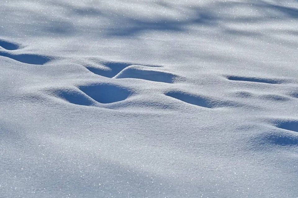 ������ ����, �����������!. �������, 23 ������, �������