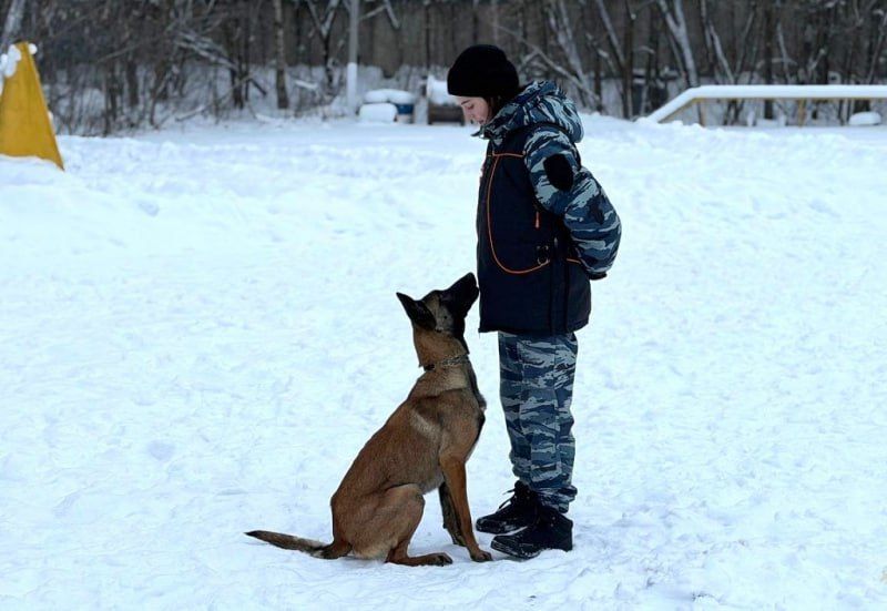 � �������� ����������� � ������������ ������� ������� � ����� ������������� ������