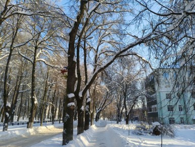 Доброе утро, Подольск!. Средняя температура воздуха сегодня -14 °С