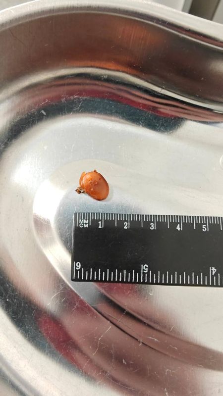 ������������ ���� ������ �� ��� �������� ������, � ������� ��� ��� ��� ����