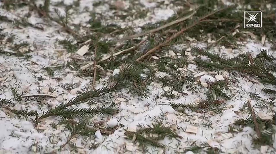 ������� ������: � 12 ������ �� 8 ������� ������������ �� ���������� ���������� � ���������������� ��������� ������� ���������� ������� ����������� �������� � ������� ����� ����� ���� �� �����������