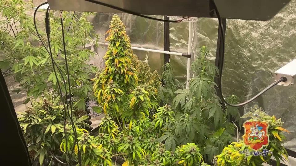 � �������� ����������� ��������� �������, ������� ��������� � ���� ���� �������