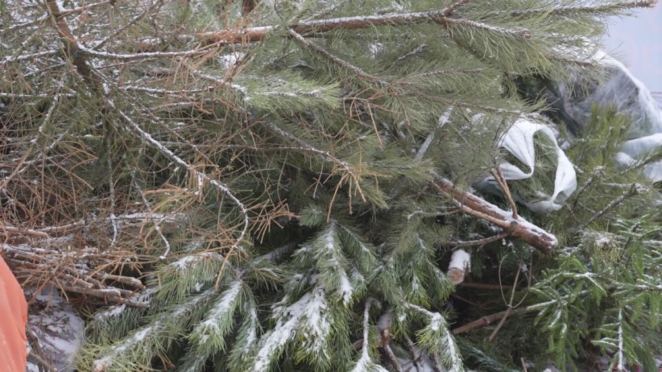 ���� ���� � ����� �������. �� 8 ������� � ��� ���� ���� ����� ����������� ���� �� �����������