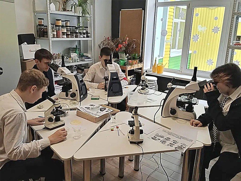 �������� ��������: � ������� ������� ����� ��� ������ ��������� ���������