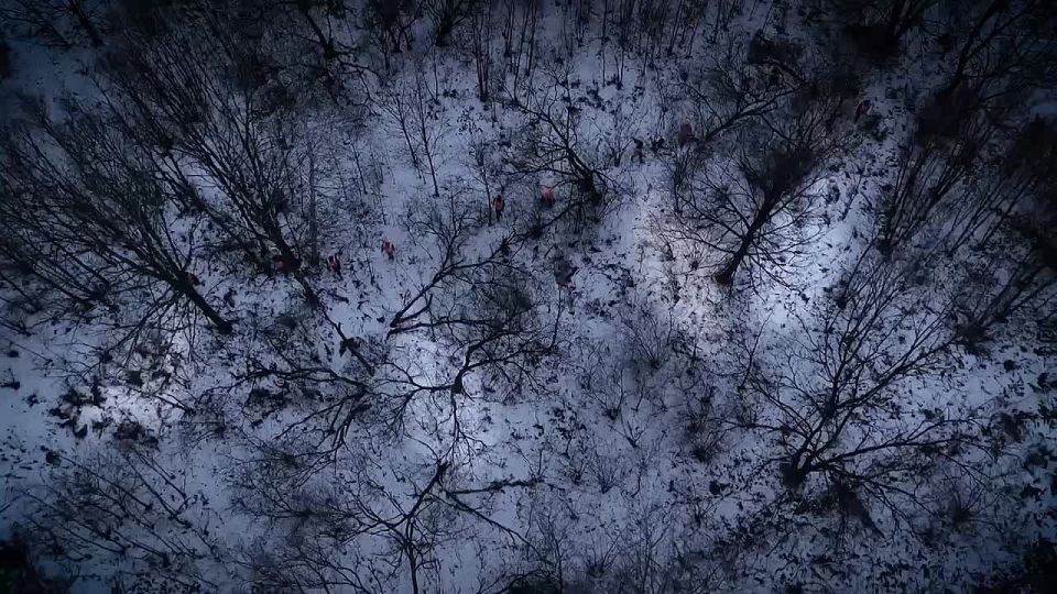 ������ ������������: � ������� ������� �� ���� ����� �������� ������������ ��� ��������� � ����