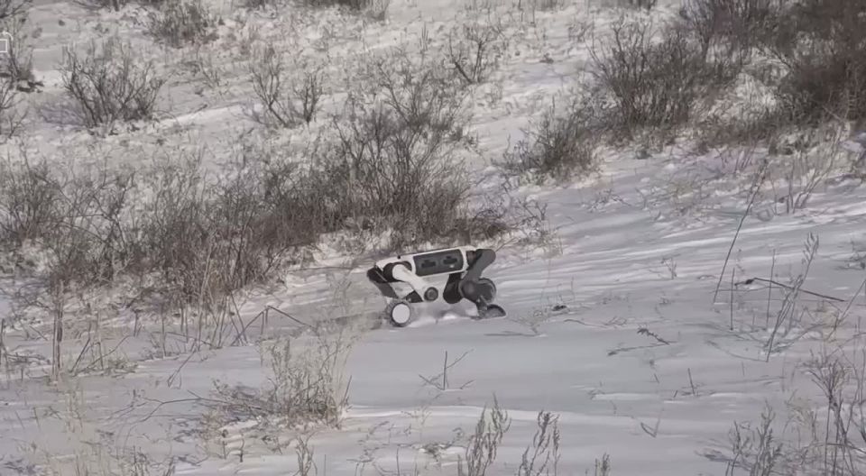 ���������� �� ����� �������� � ����� � 30-��������� �����