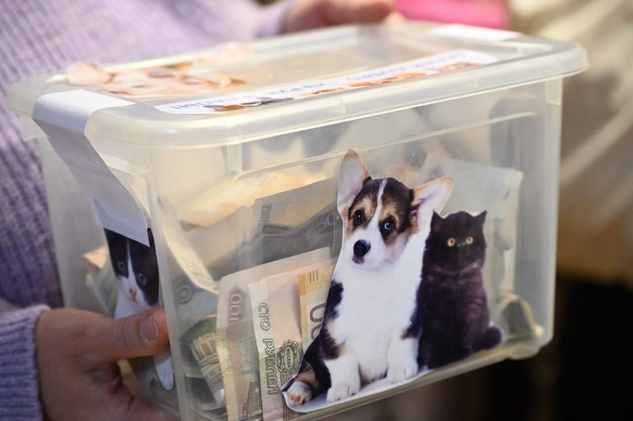 В дошкольном отделении «Умка» состоялась благотворительная ярмарка «Дружба народов в помощь братьям нашим меньшим», организованная в поддержку приюта для бездомных животных «ЗоозащитаПлюс» В дошкольном отделении «Умка» состоялась благотворительная ярмарка «Дружба народов в помощь братьям нашим меньшим», организованная в поддержку приюта для бездомных животных «ЗоозащитаПлюс»