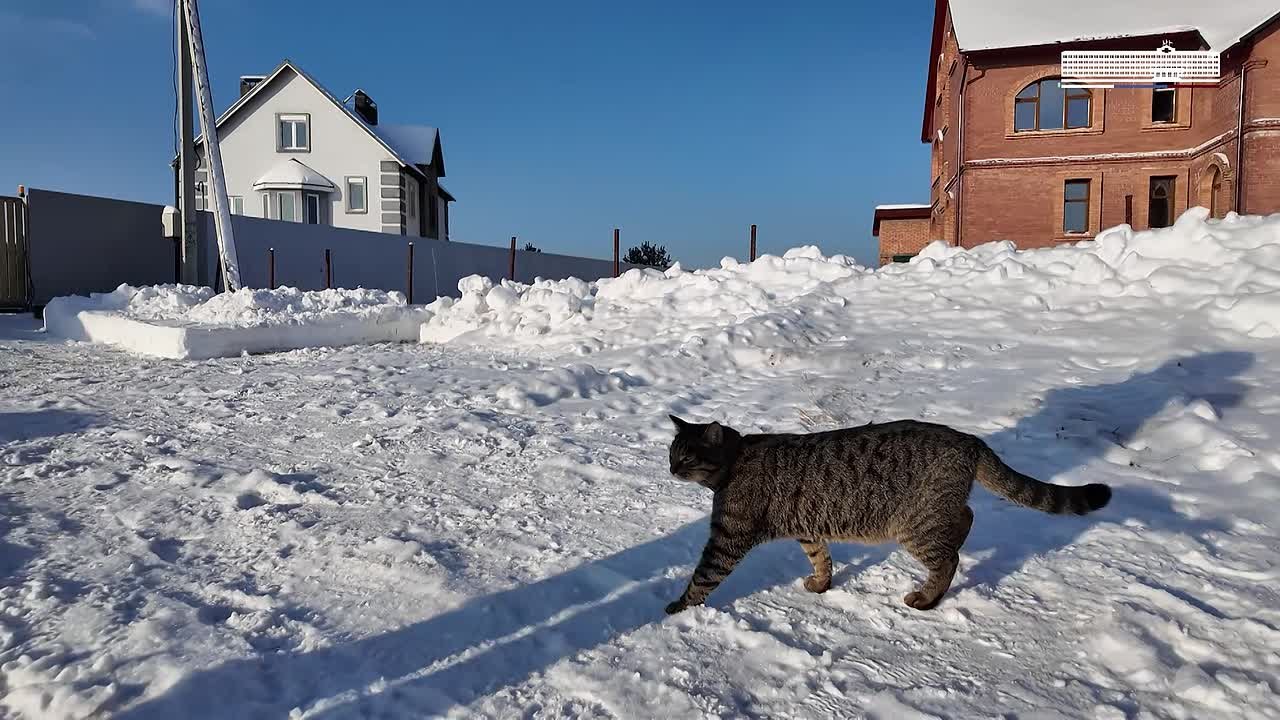 Андрей Иванов: Встретился с жителями деревни Власово и осмотрел проблемный участок местной дороги