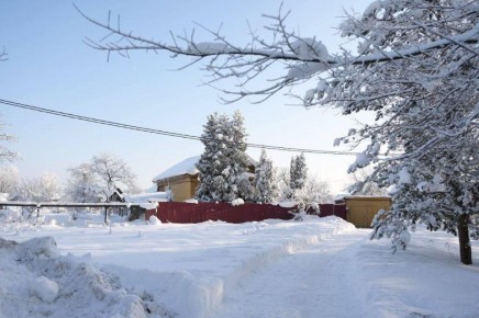 Правила содержания и защиты зелёных насаждений в Сергиево-Посадском округе