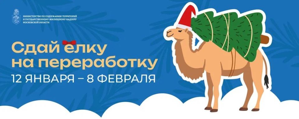 ����� ����� ���� �� �����������!�