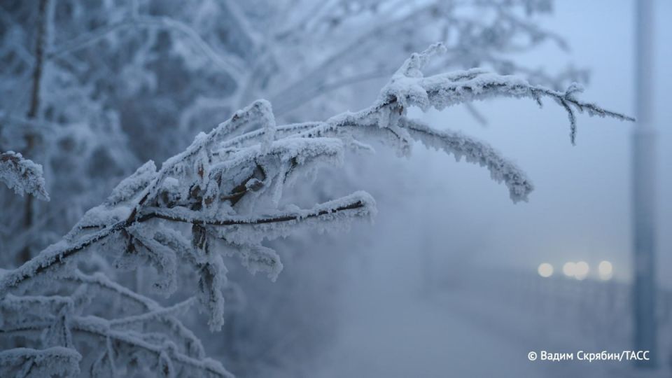 �������� ���� ����� ����� �������� � ������ ���� � �����������, �������� ���� � ��������������