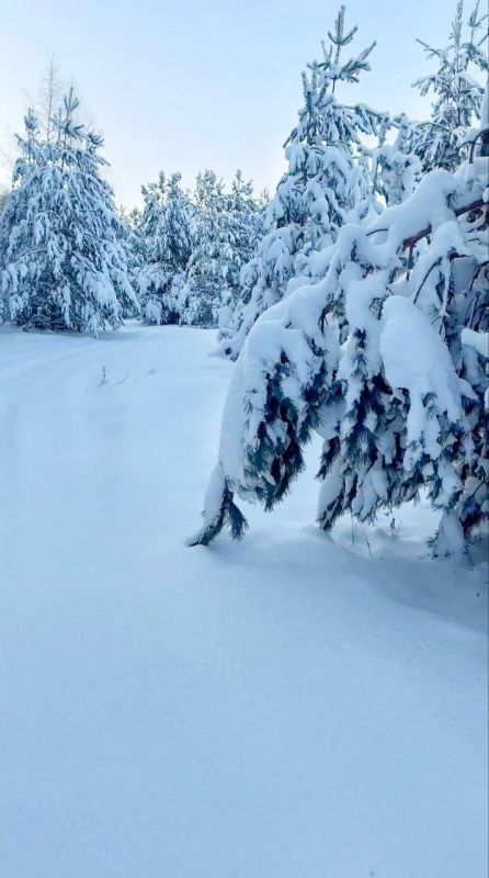 �������� ������: ������ �������� �����������