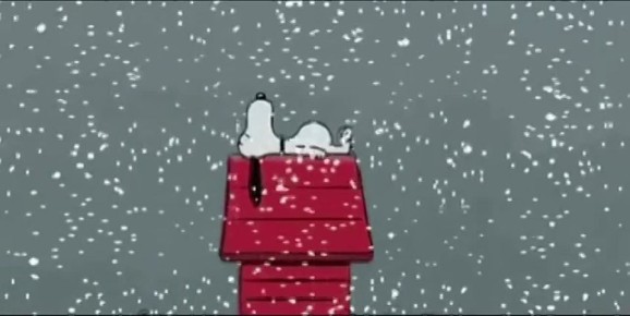 ������� ����������� ���� ��� ��� �������