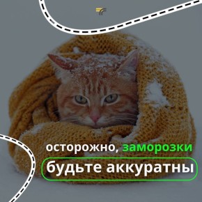 ���� ���������� �� ������� ������������ ��������� ������ � ��� �������� �������� ���� ���