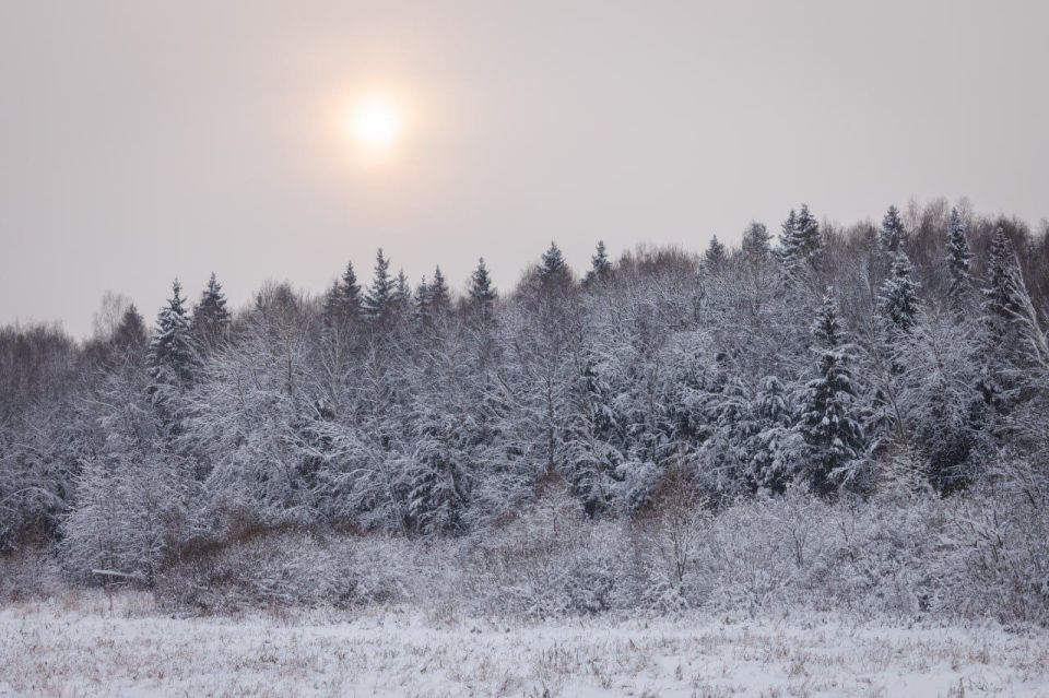 ���� � ������������� �.�. ������: ��� ���� ���!�, 1886