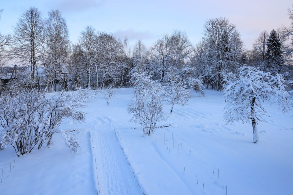 ���� � ������������� �.�. ������: ��� ���� ���!�, 1886