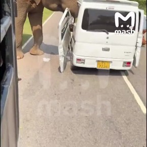 ����� ���� ����� �� ���������� �������� �� ���-�����