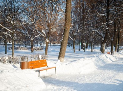 � ������� ������������ ����� �� ������ ��������� � ������ ���������